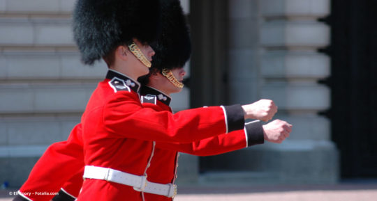 Palastwachen für den König Kunden